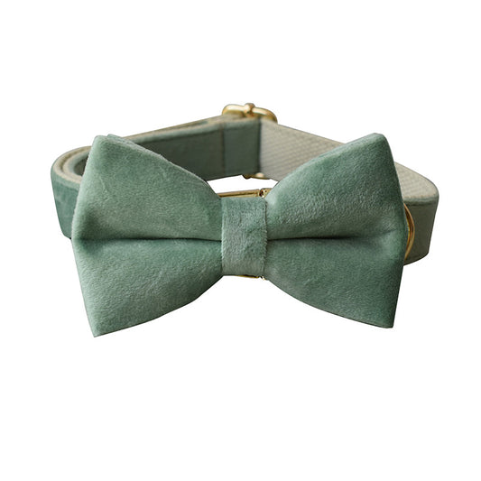Dog Bow Tie Collar And Leash Set - Mint Green