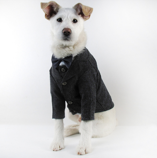 Dog Formal Blazer and Vest