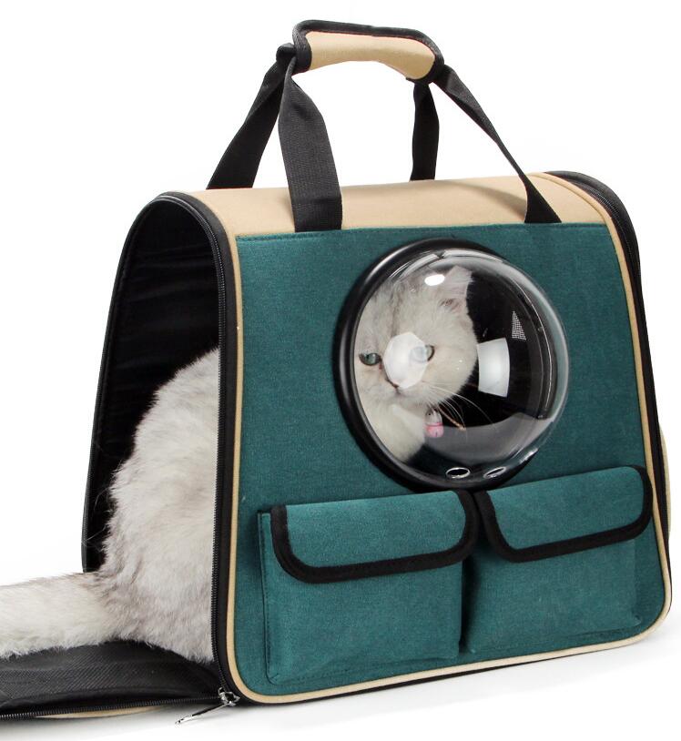 2-ways Pet Backpack