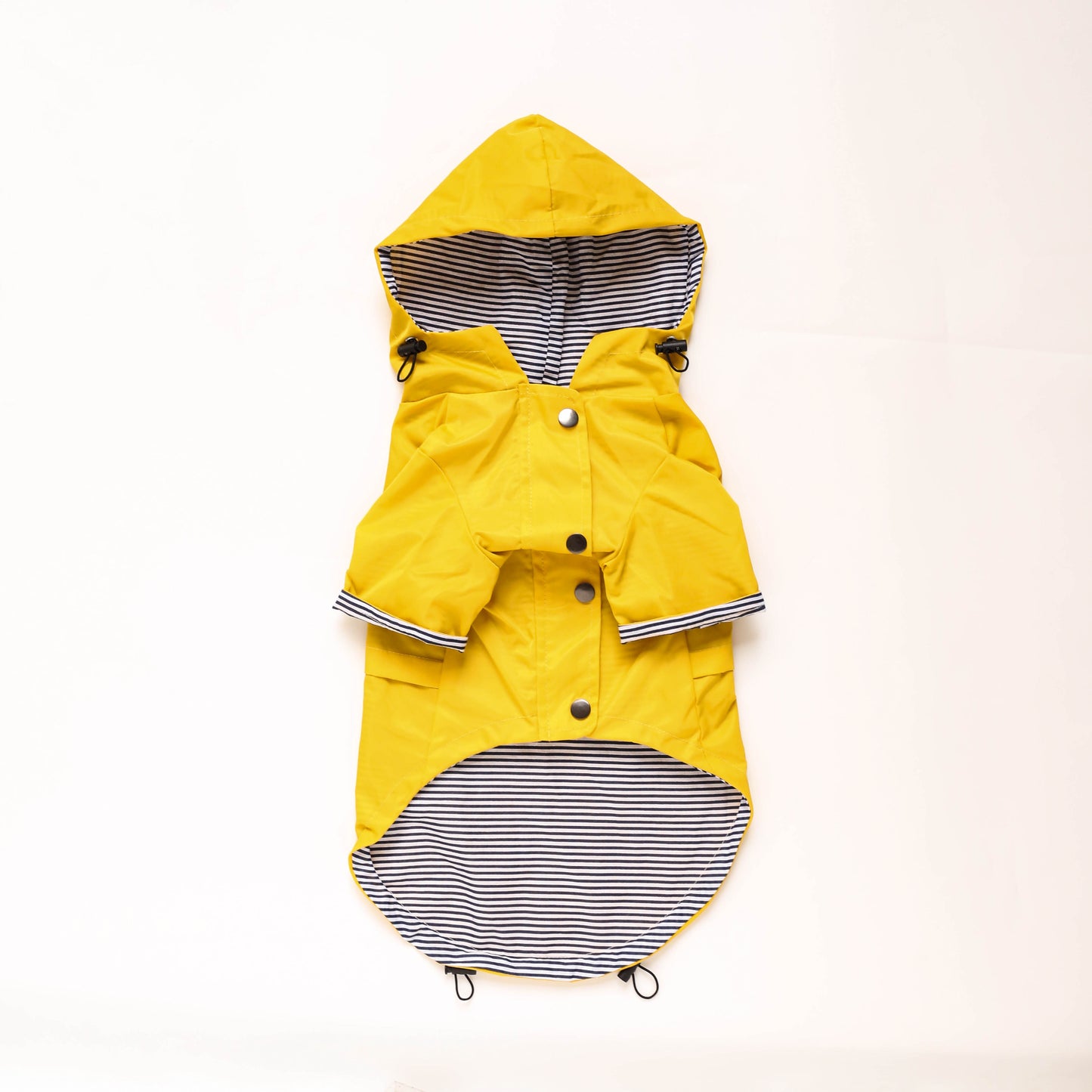 Yellow Dog Raincoat