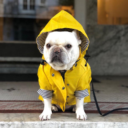 Yellow Dog Raincoat