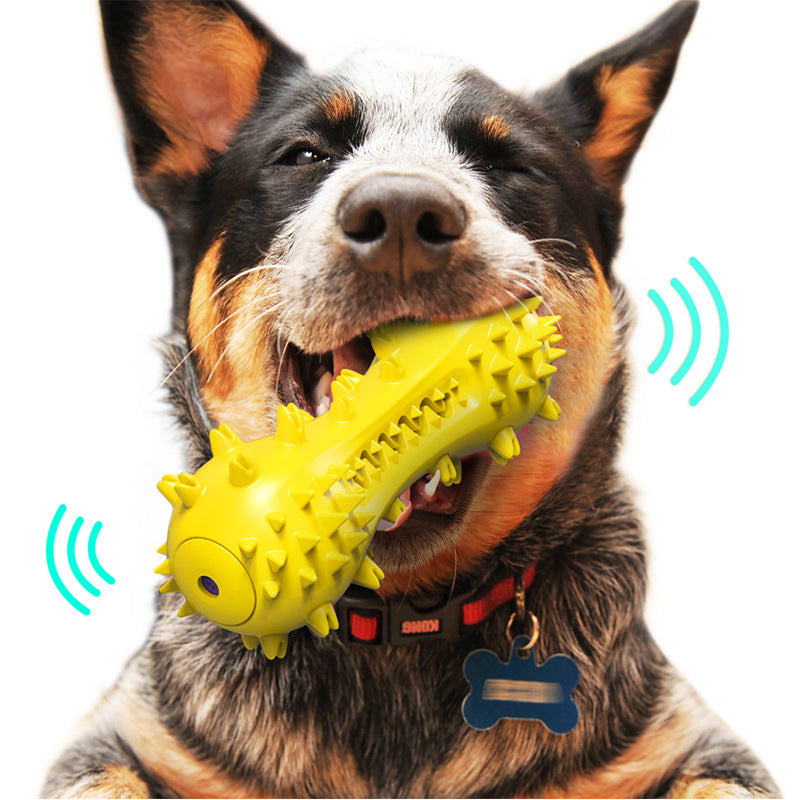 A dog toy toothbrush with squeaky sound effect is a good toy for both having fun and taking care of dental health at the same time.