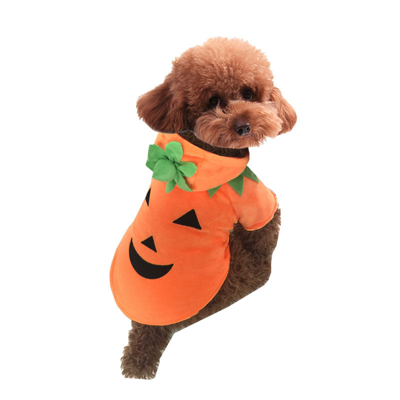 Dog Halloween Pumpkin Costume - Yes My Paws