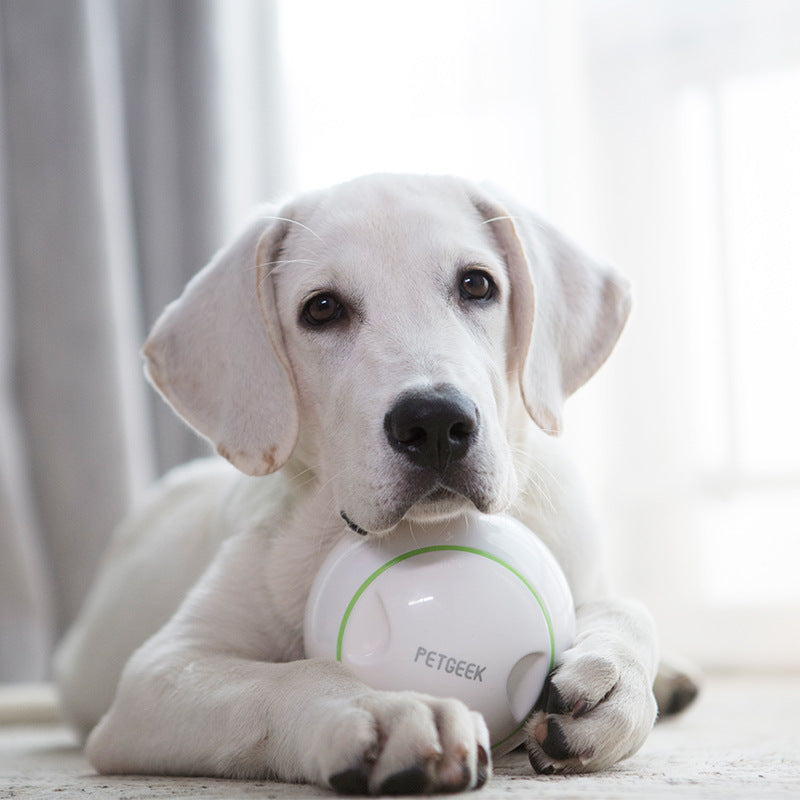 Dog Treat Dispensing Toy Ball