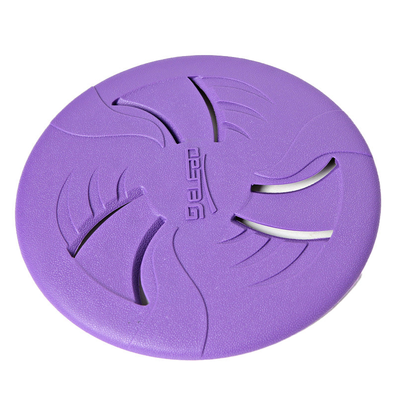 A frisbee allows you to have fun time with your furry friends outside