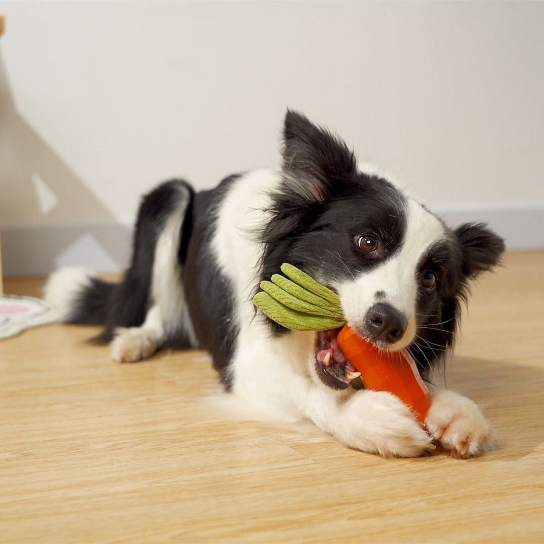 Durable Squeaky Carrot Dog Rubber Toy