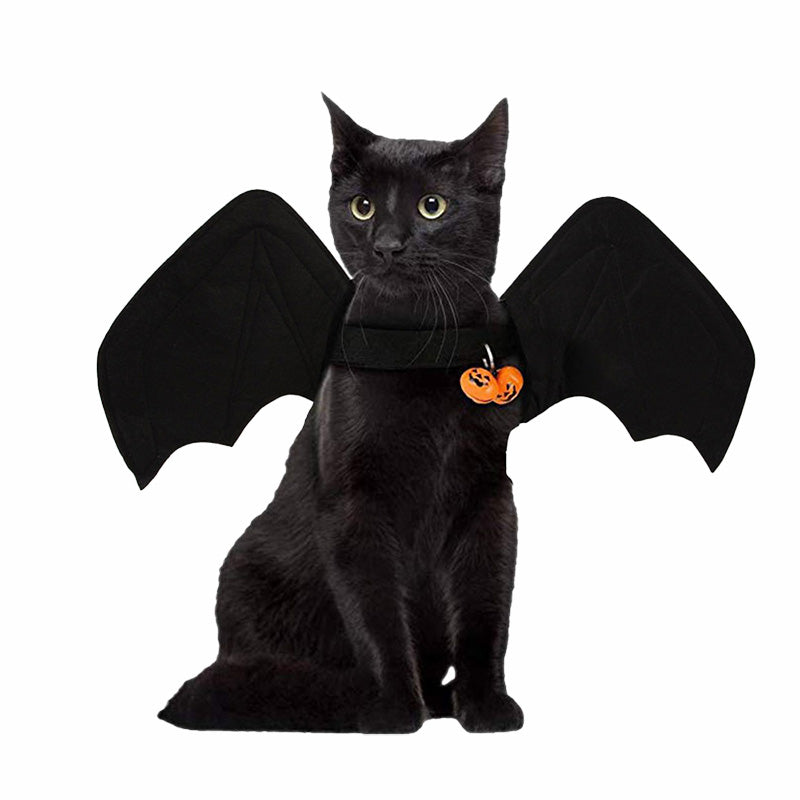 Bat Wing Harness for Dog and Cat