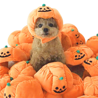 Dog Pumpkin Hat for Halloween Fun - Yes My Paws