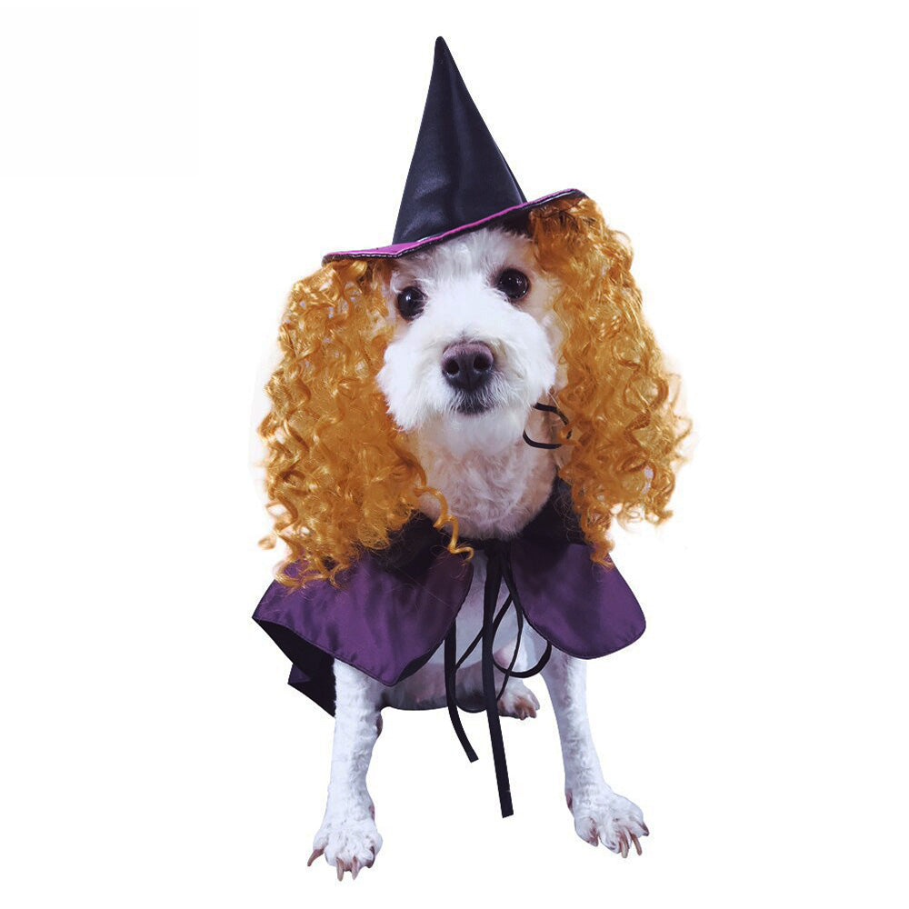 Dog Wizard Costume - Halloween Fun - Yes My Paws