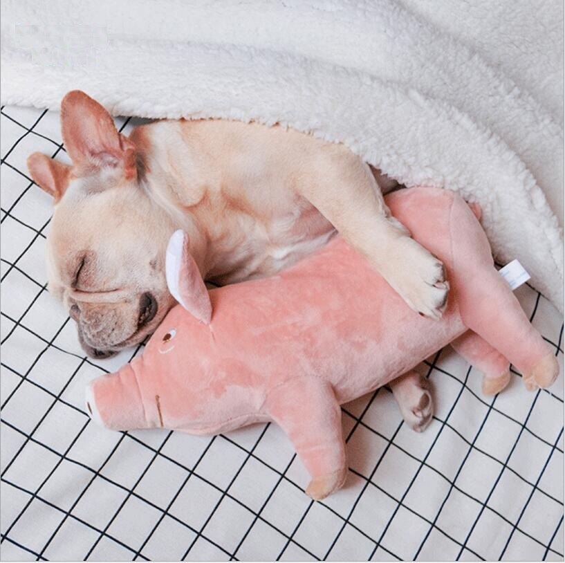 A pig plush toy acts as a good companion to your paws. They can play with it and hug it while sleeping