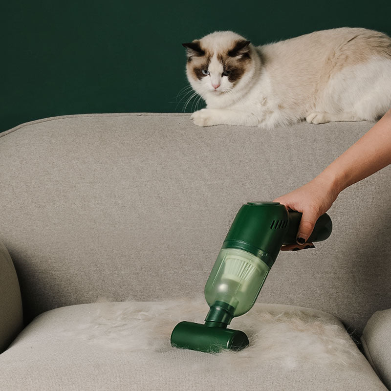 portable pet hair vacuum for removing dropped pet hair everywhere with style