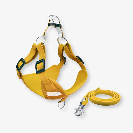 Reflective Dog Harness and Leash Set