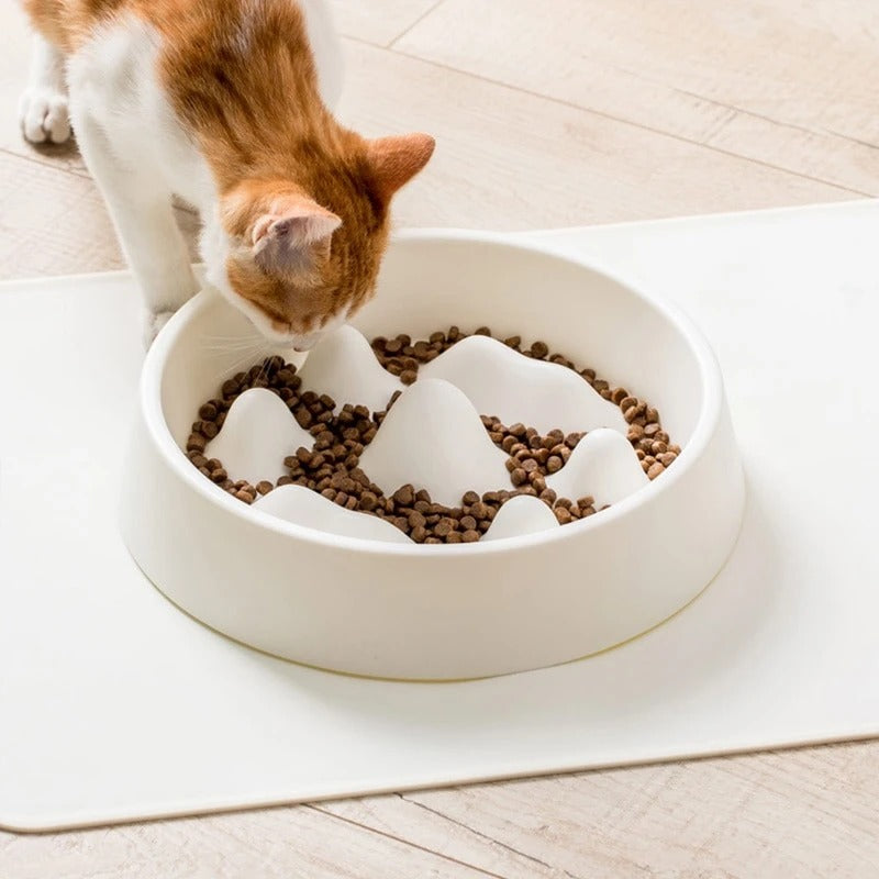 Pet bowl for eating slower for reducing the risk of choking, bloating and indigestion and thus introduce healthier eating behaviour