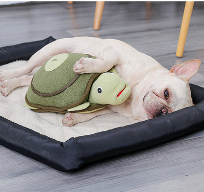 A tortoise plush toy is a good companion to your paws. It also looks cute together with your furry friends and suitable for photoshooting.